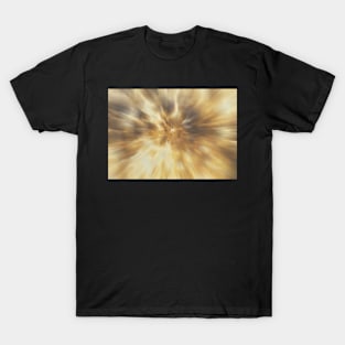 Brown Radial Zoom T-Shirt